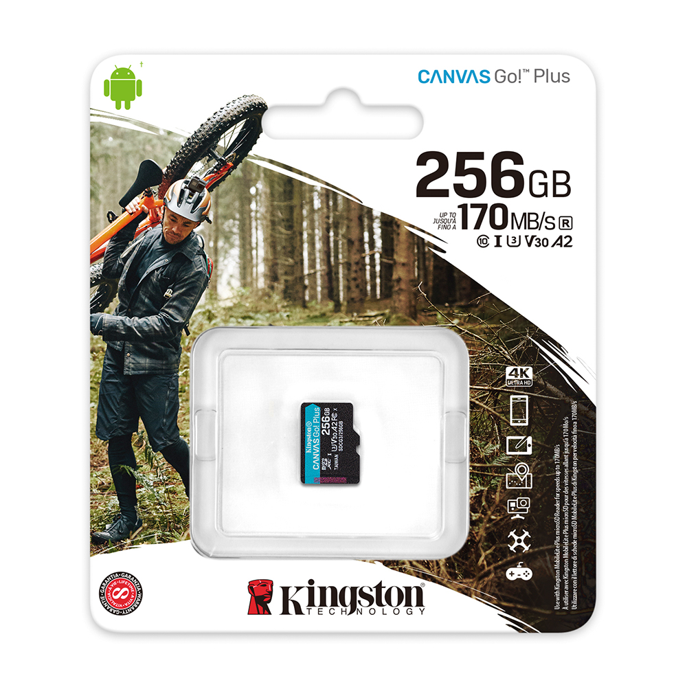 Amcrest Kingston Microsdxc Card, 256gb, U3 & V30 King-3060